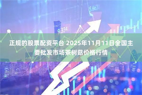 正规的股票配资平台 2025年11月11日全国主要批发市场茶树菇价格行情